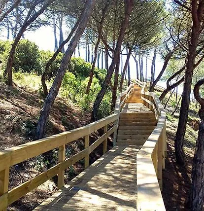 Beach,Surf, Hiking And More